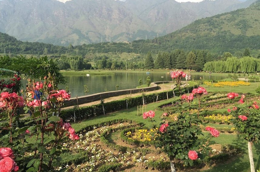 Jawaharlal Nehru Memorial Botanical Garden, Srinagar, Jammu and Kashmir - Vushii.com Jawaharlal Nehru Memorial Botanical Garden, Srinagar, Jammu and Kashmir - Vushii.com